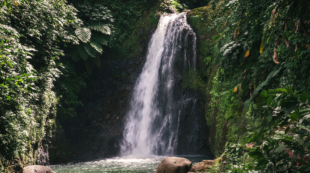 A waterfall cascading into a river surrounded by lush greenery.