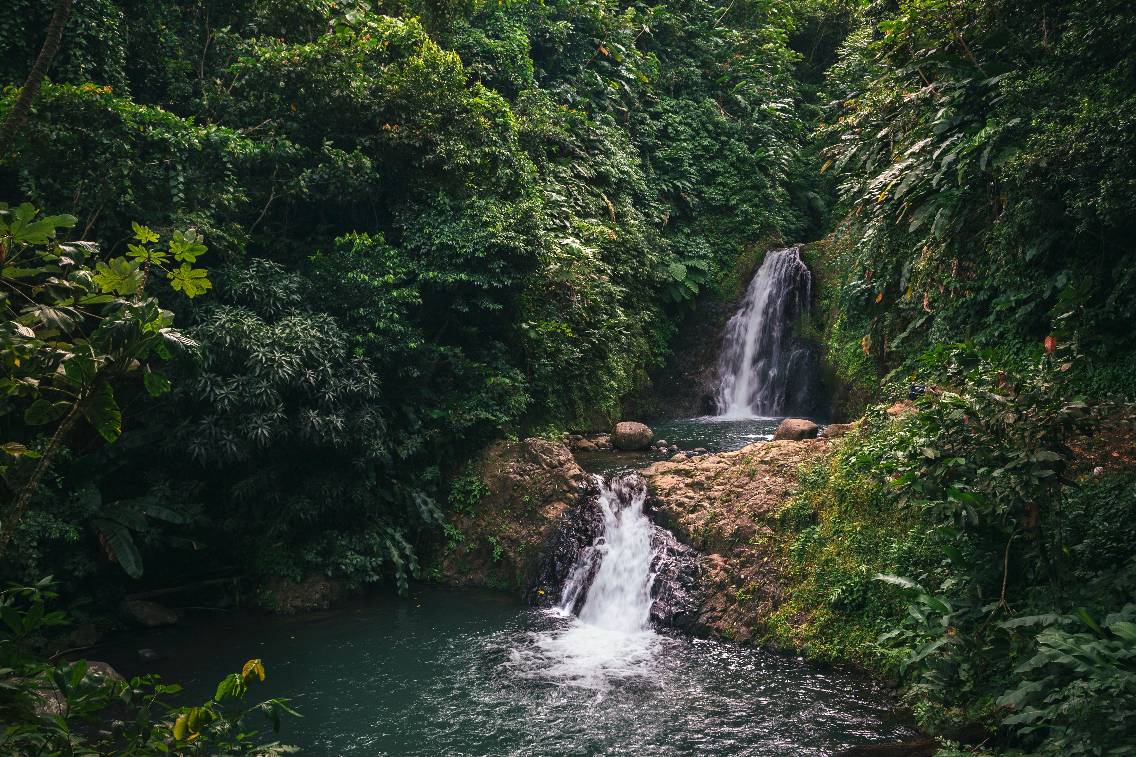A waterfall cascading over rocks into a pool surrounded by dense green foliage.