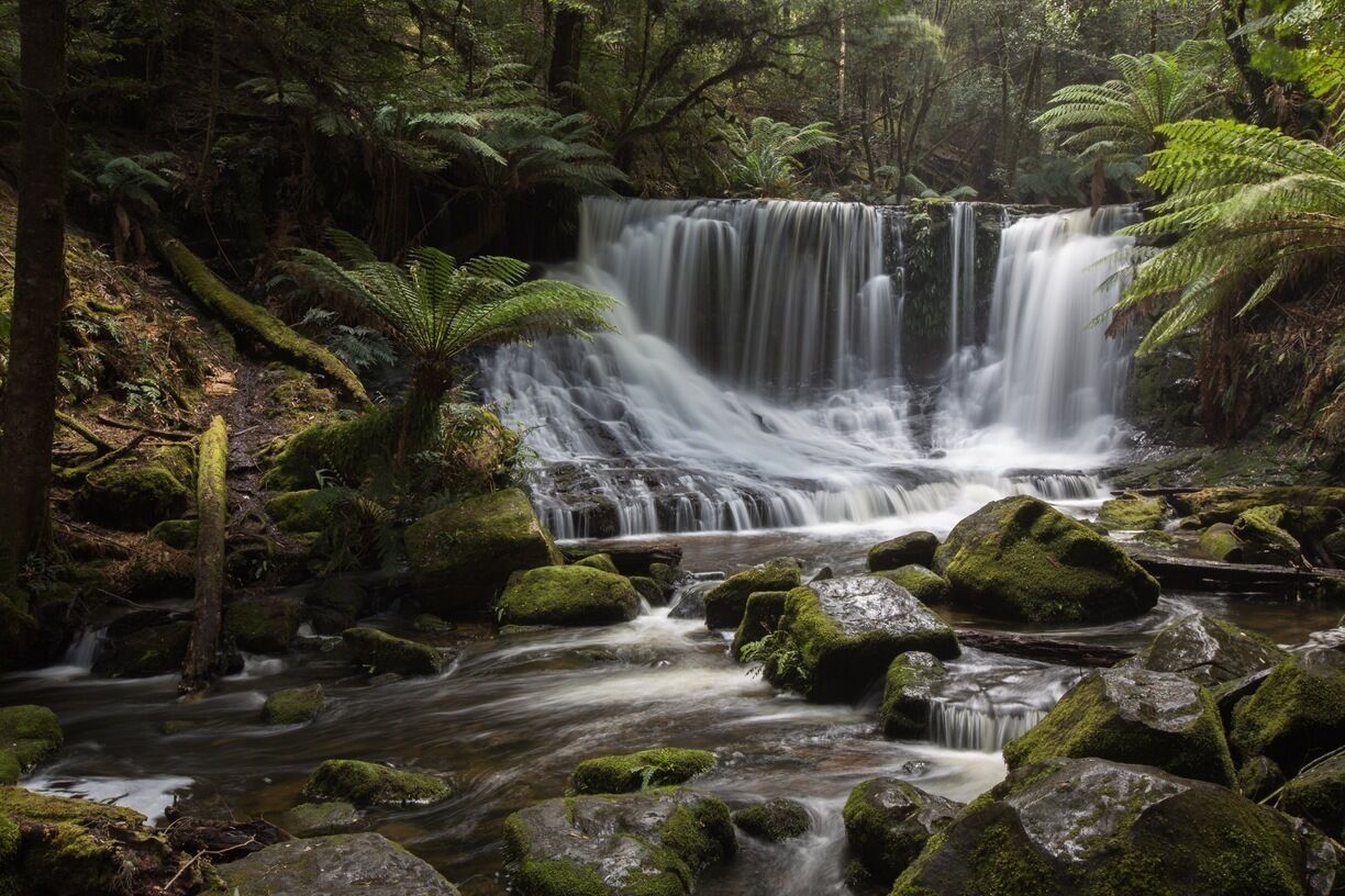 Waterfall @ Tasmania