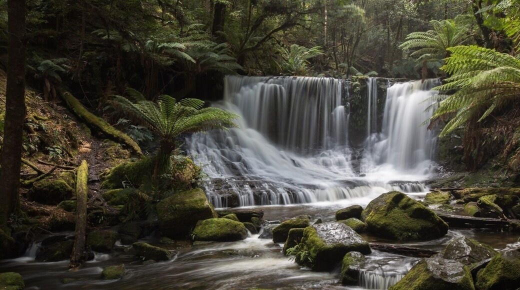 Waterfall @ Tasmania