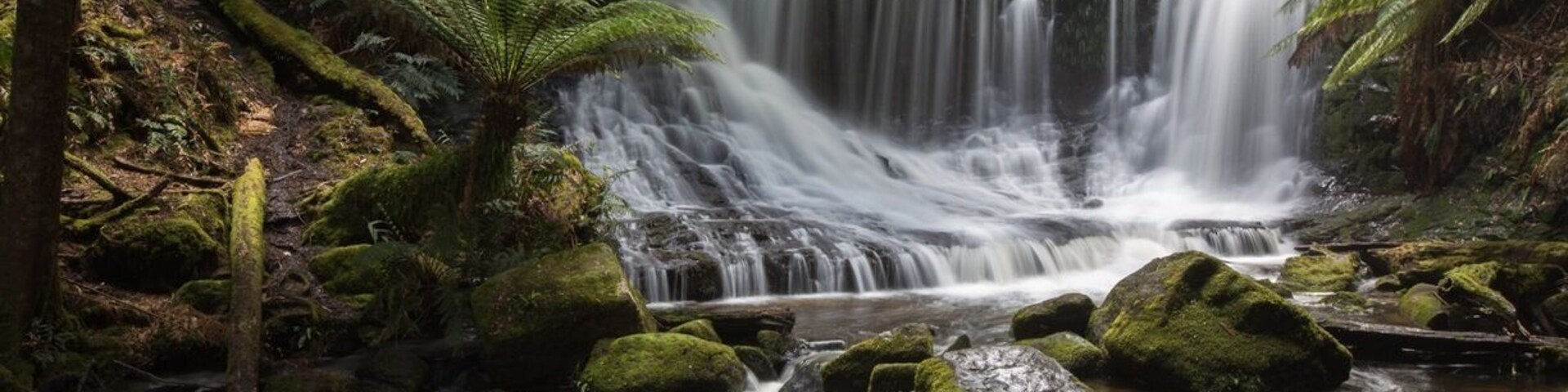 Waterfall @ Tasmania