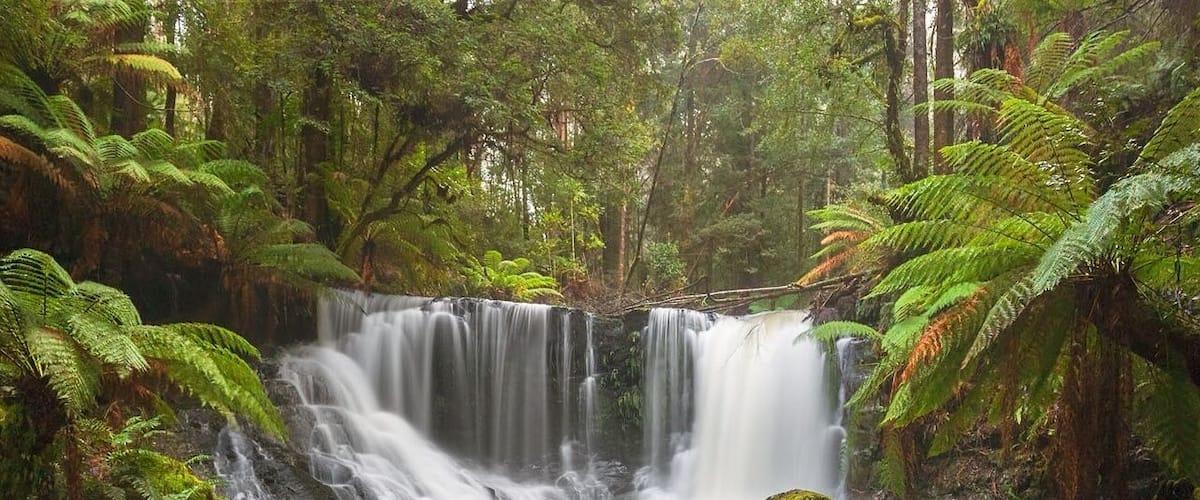 Another great area of Tasmania to visit is Mt Field National Park, it's about an hour drive out of Hobart and where you will find two of the most beautiful waterfalls in Tasmania. Russell Falls is actually more popular out of the two waterfalls however if you continue a short distance further along the same walking track you will reach Horseshoe Falls which is my favourite, the scenery along the way through the tall swamp gum forest, massive tree ferns and moss covered undergrowth is beautiful.
Both waterfalls look impressive after a lot of rainfall and as luck would have it there was plenty of rainfall prior to our visit. As you can see there was no shortage of flowing water and it was so nice to stop here and just take in the spectacular beauty of the place. #green