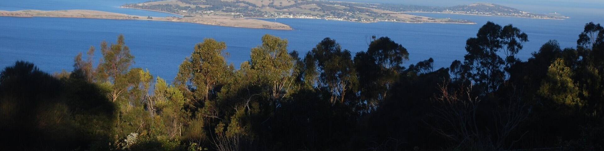 This is the view from the Mount Field Lookout, about 60 km from Hobart. I recommend that you spend a day, or more, exploring this national park. #localgems