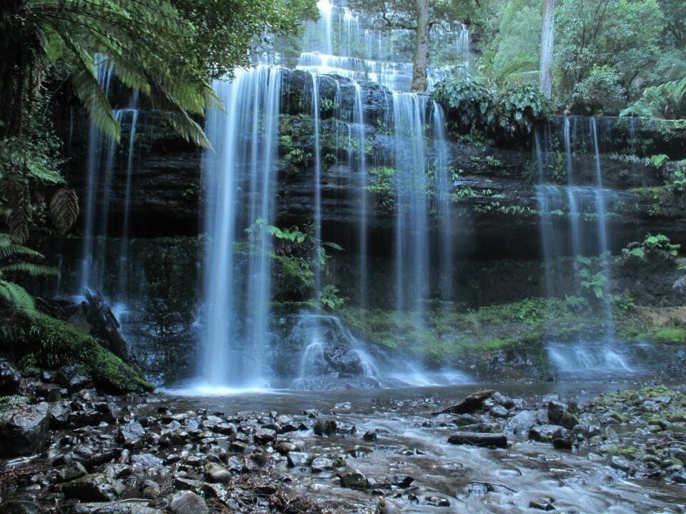 A waterfall cascading over rocks in a forested area.