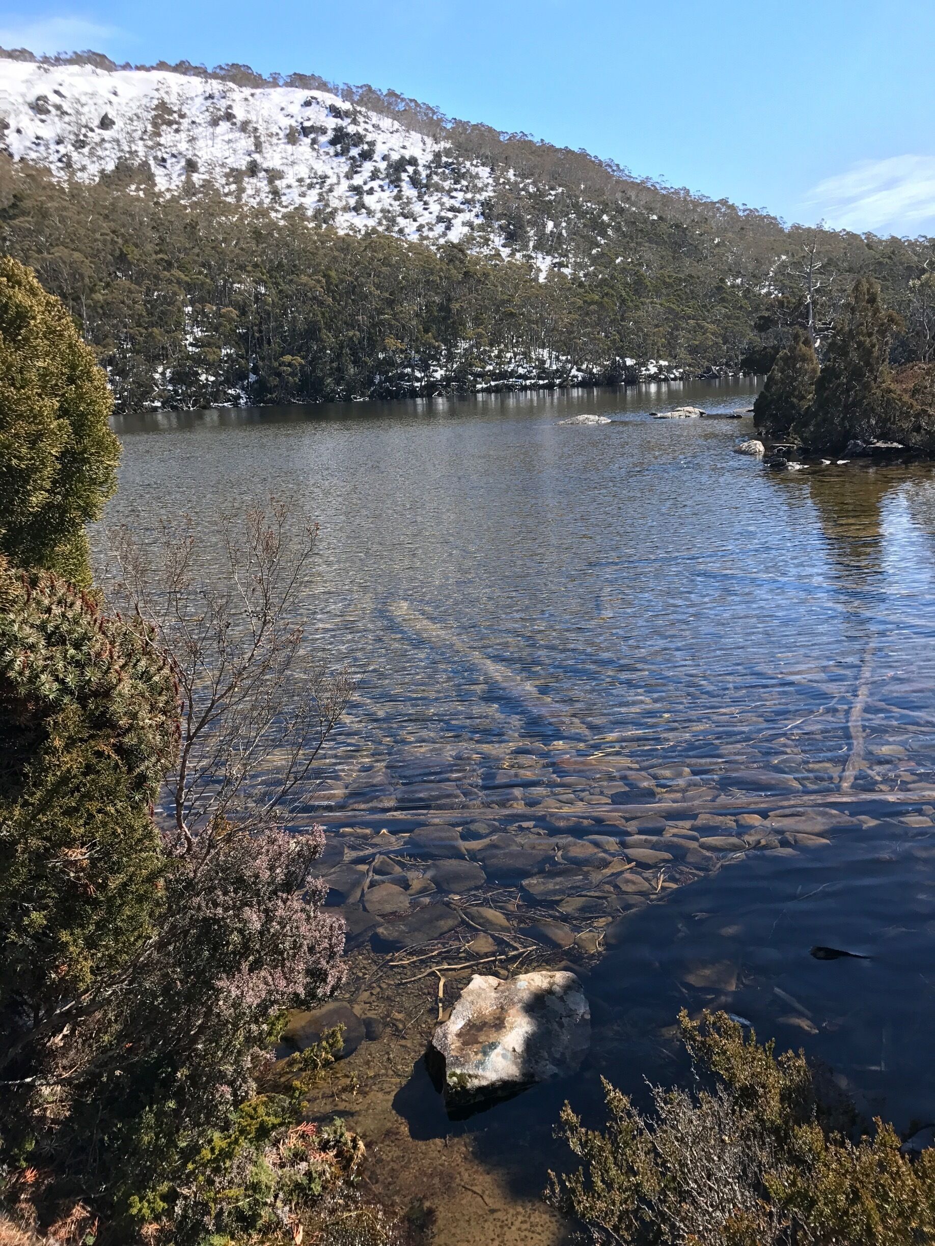 You can eat with the birds around here with stunning view of the mountain and river. :') 