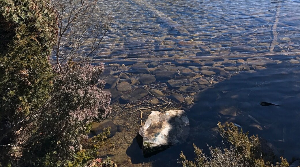 You can eat with the birds around here with stunning view of the mountain and river. :')