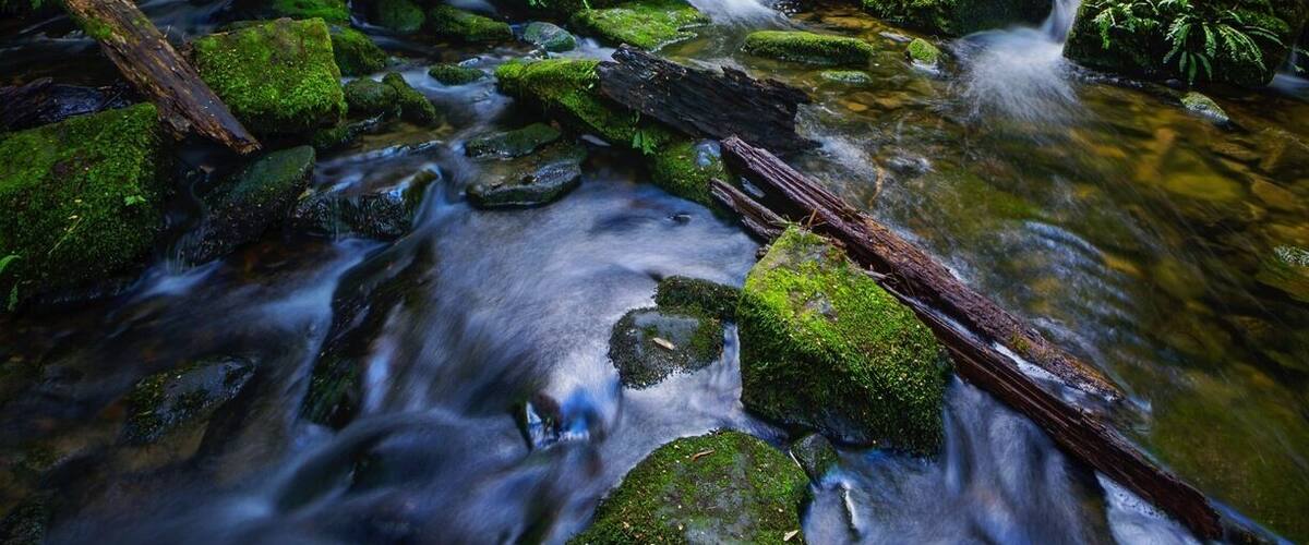 Horseshoe Falls in Mt Field National Park, Tasmania, is well worth the 20 minute hike to get to. I spent the extra effort scrambling over the rocks to get a unique perspective of the moss covered rocks below the waterfall.