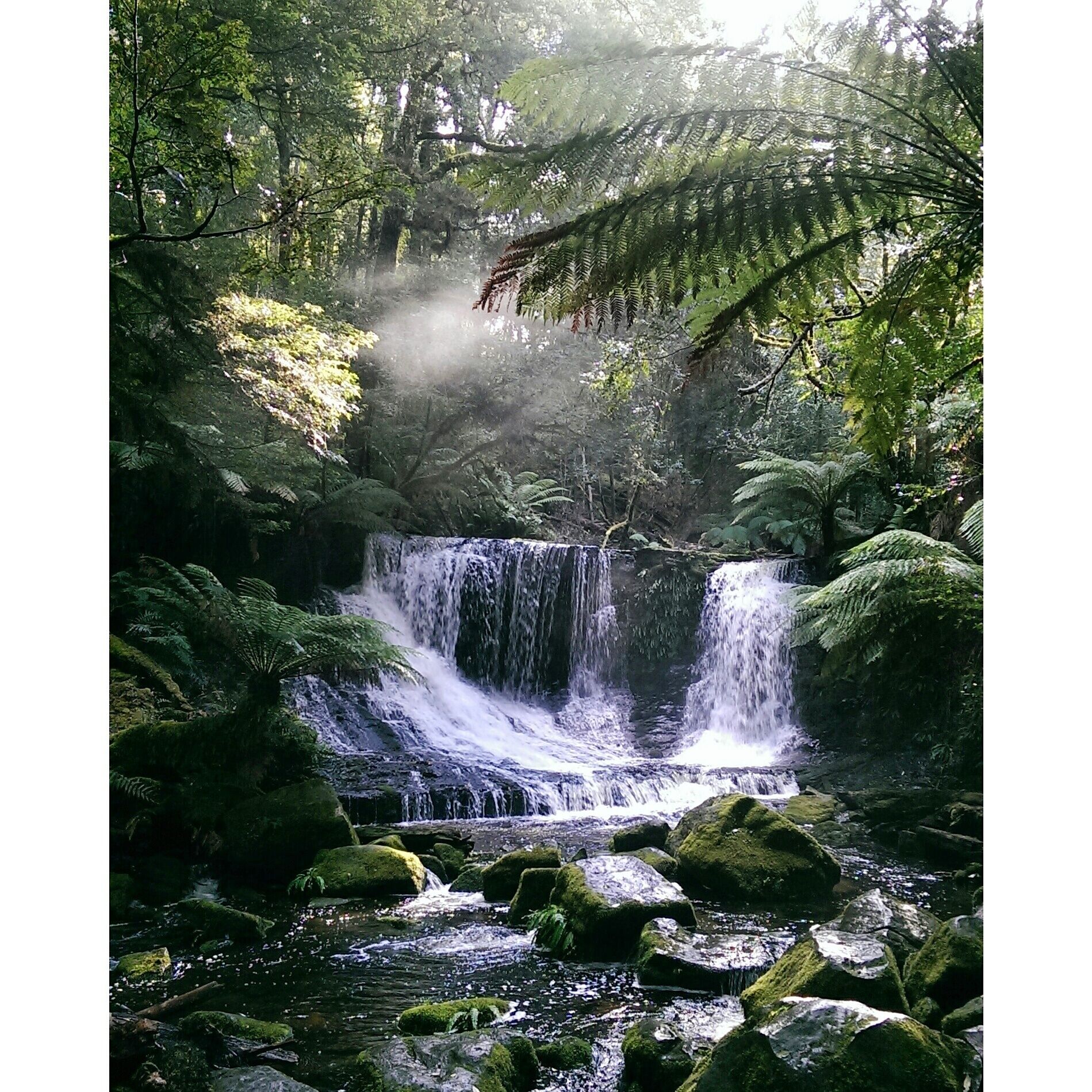 Russell Falls, Mt. Field National Park in Tasmania, Australia. 