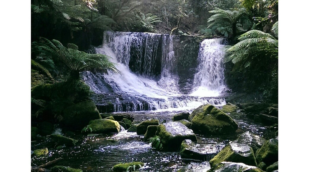 Russell Falls, Mt. Field National Park in Tasmania, Australia.