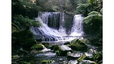 Russell Falls, Mt. Field National Park in Tasmania, Australia.
