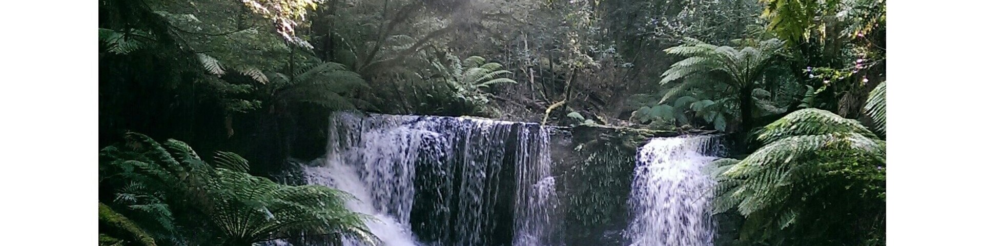 Russell Falls, Mt. Field National Park in Tasmania, Australia.