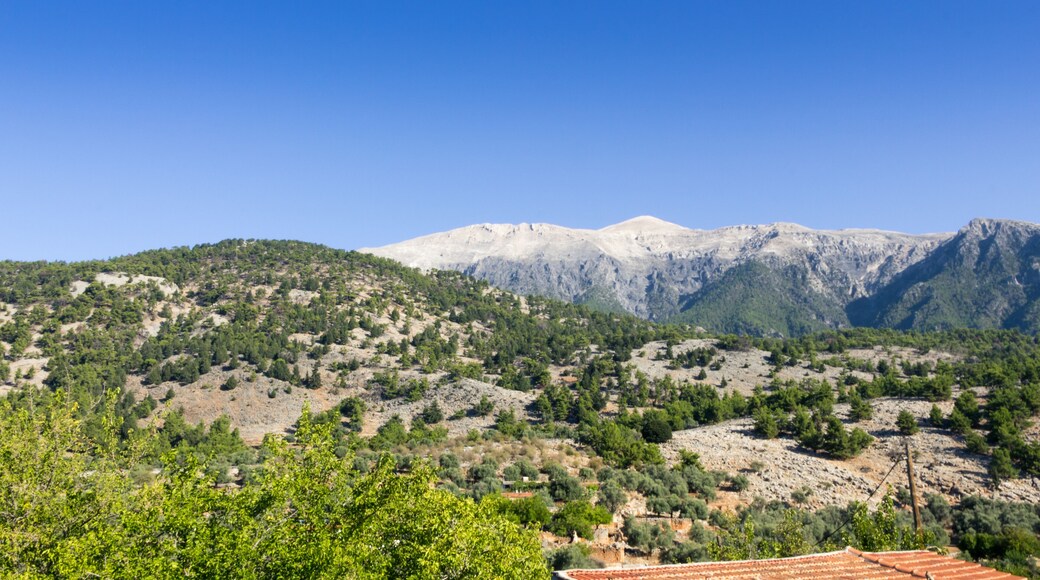 White Mountains Forest Preserve
