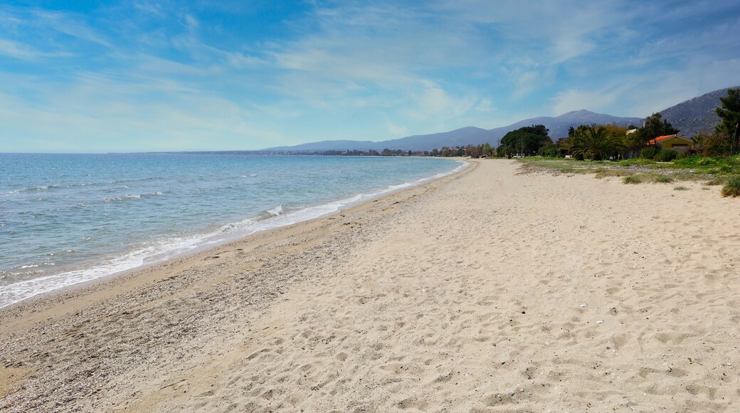 Marathon beach in Attica near Athens, Greece