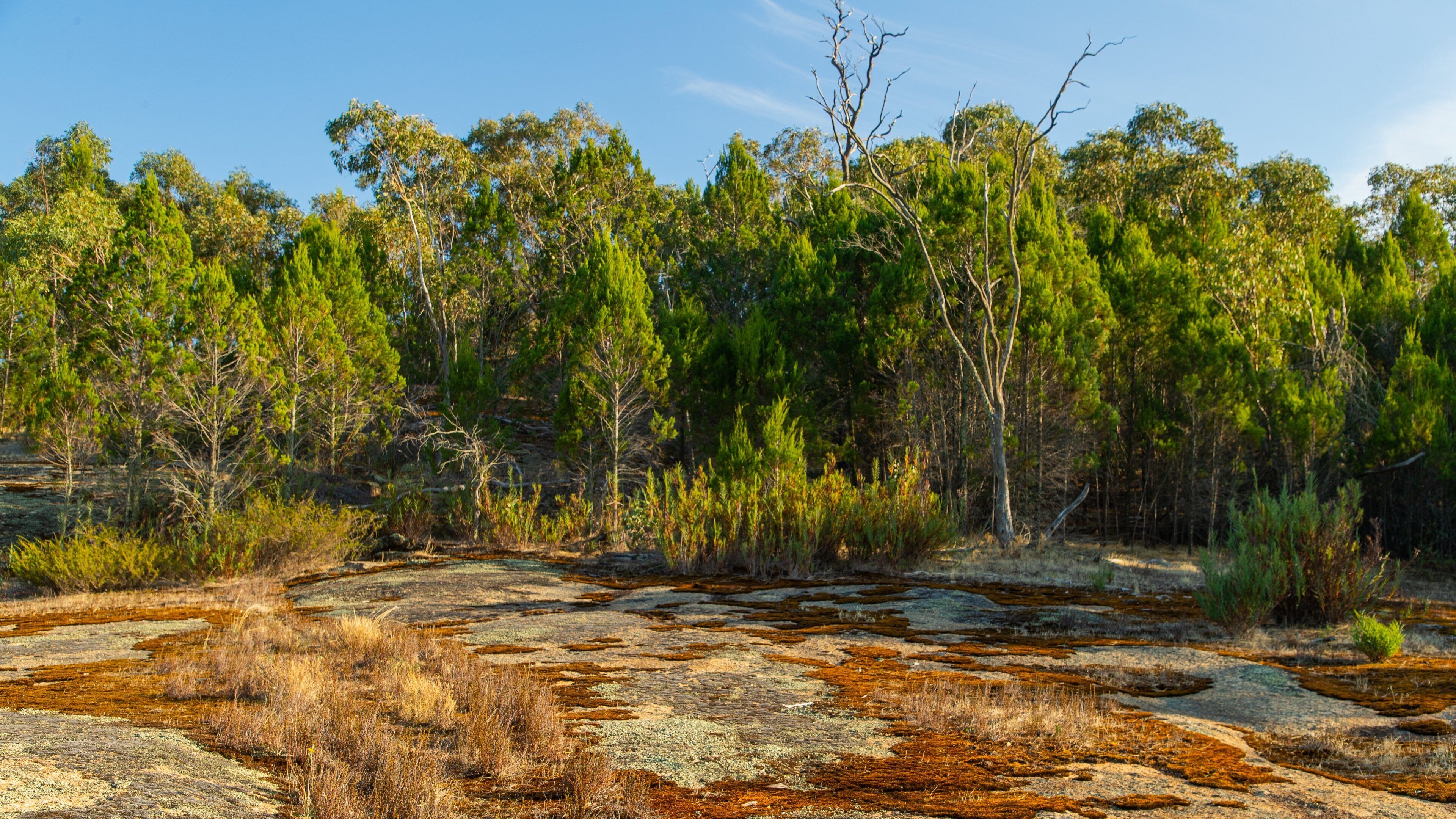 Chiltern-Mt Pilot National Park featuring tranquil scenes