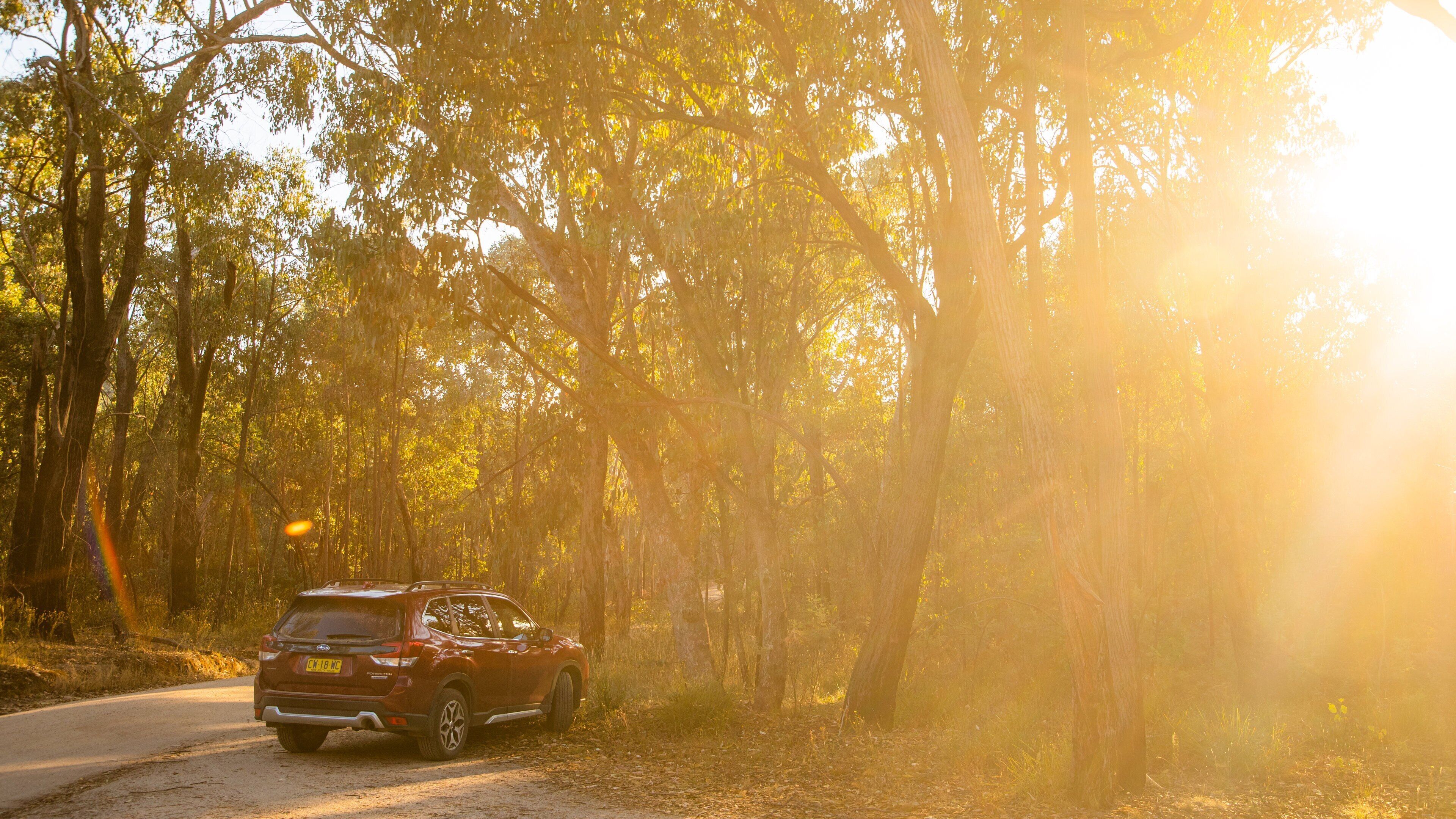 Chiltern-Mt Pilot National Park featuring tranquil scenes, a sunset and forest scenes