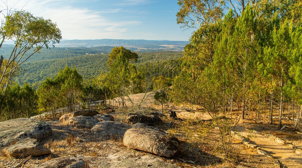 Chiltern-Mt Pilot National Park showing tranquil scenes, landscape views and forest scenes