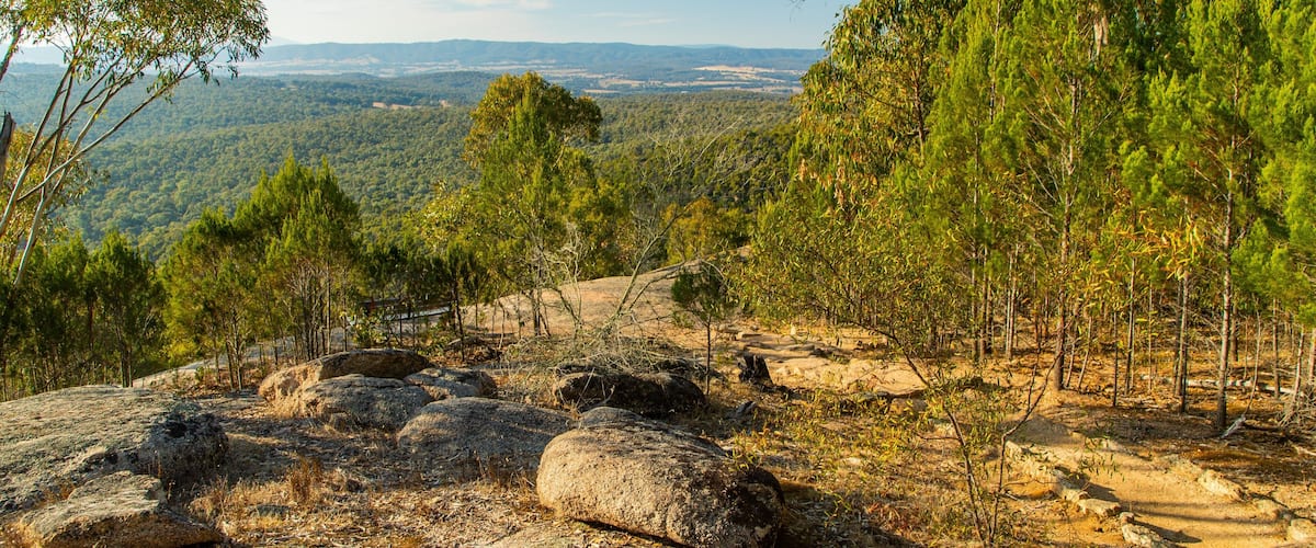 Chiltern-Mt Pilot National Park showing tranquil scenes, landscape views and forest scenes