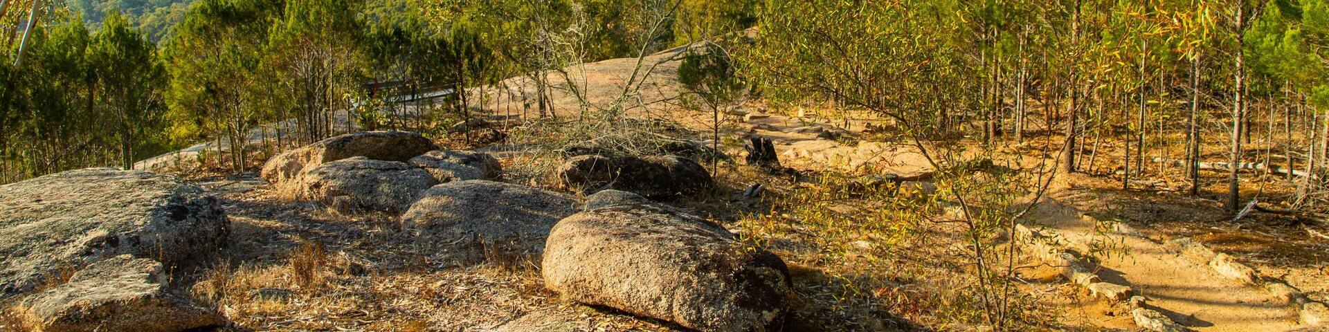 Chiltern-Mt Pilot National Park showing tranquil scenes, landscape views and forest scenes