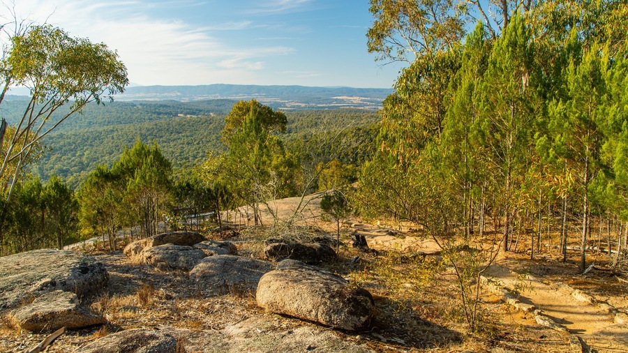 Chiltern-Mt Pilot National Park showing tranquil scenes, landscape views and forest scenes