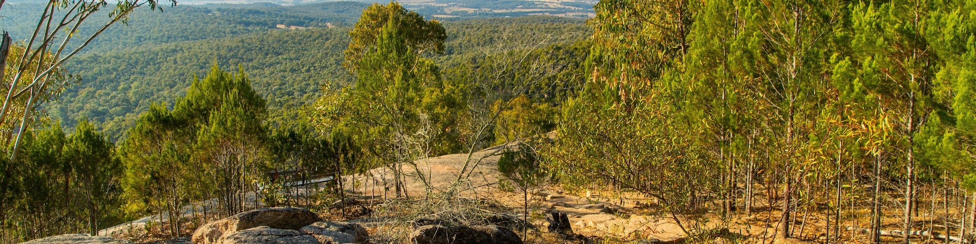 Chiltern-Mt Pilot National Park showing tranquil scenes, landscape views and forest scenes