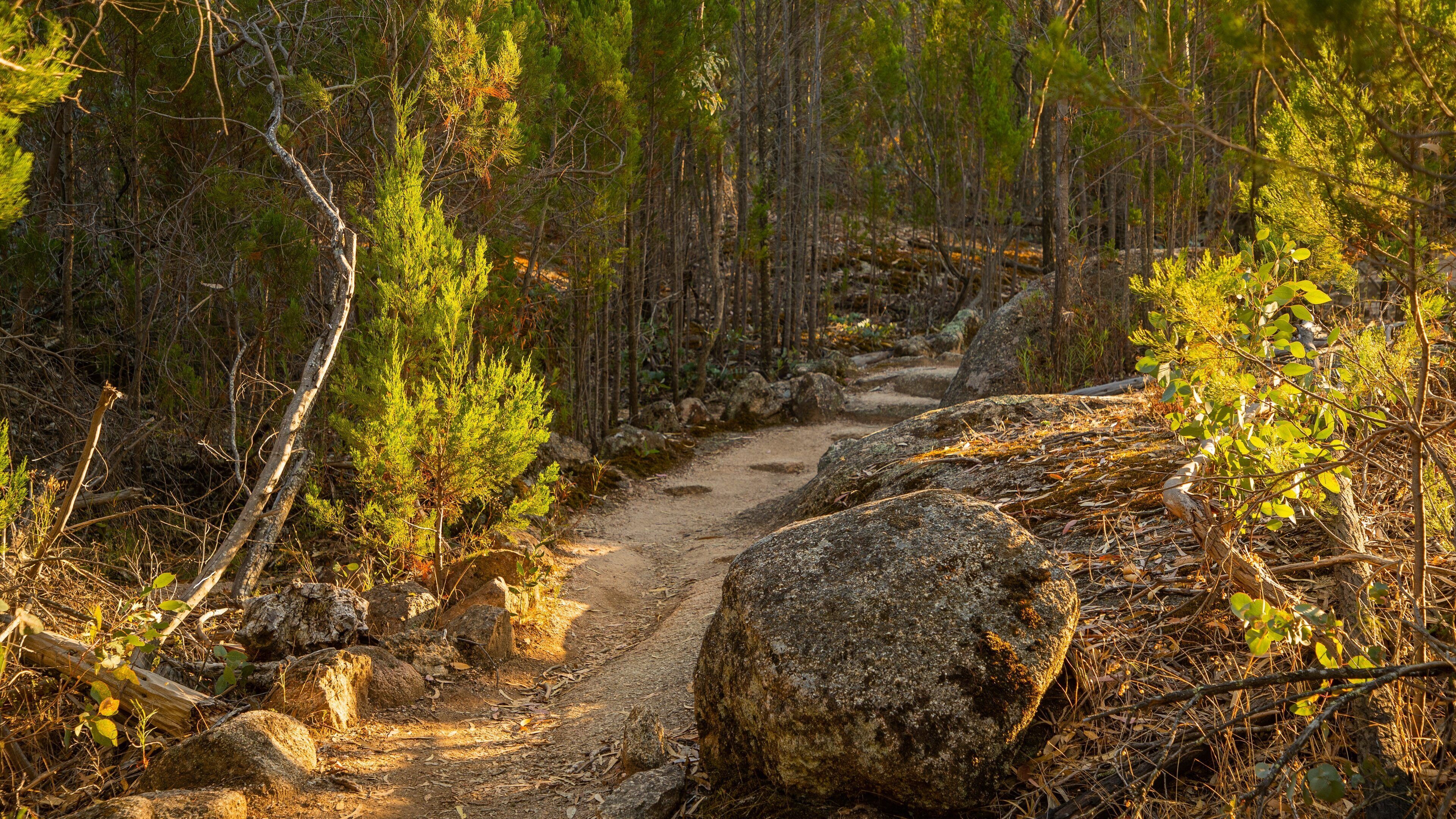 Chiltern-Mt Pilot National Park showing tranquil scenes
