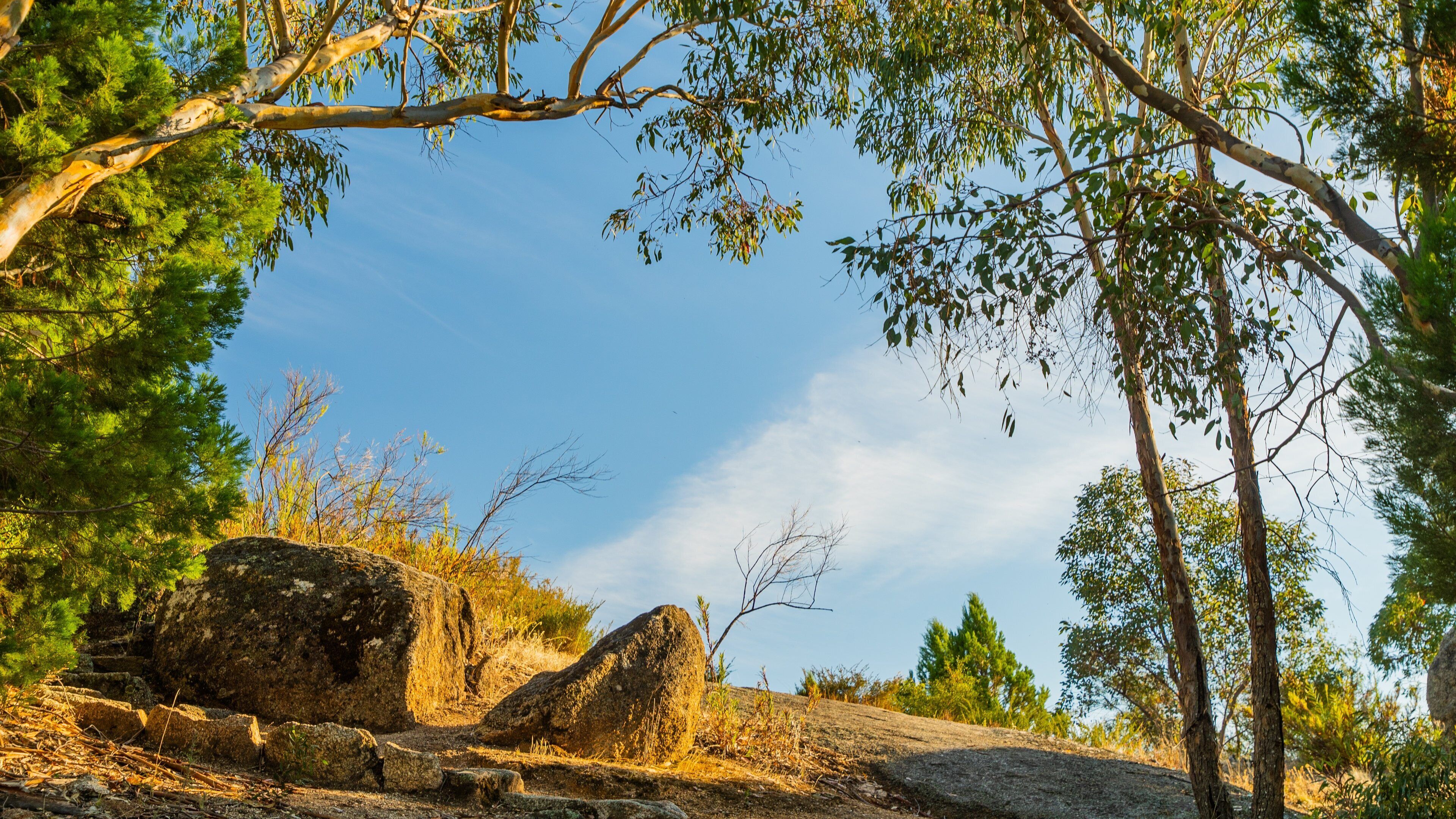 Chiltern-Mt Pilot National Park featuring tranquil scenes