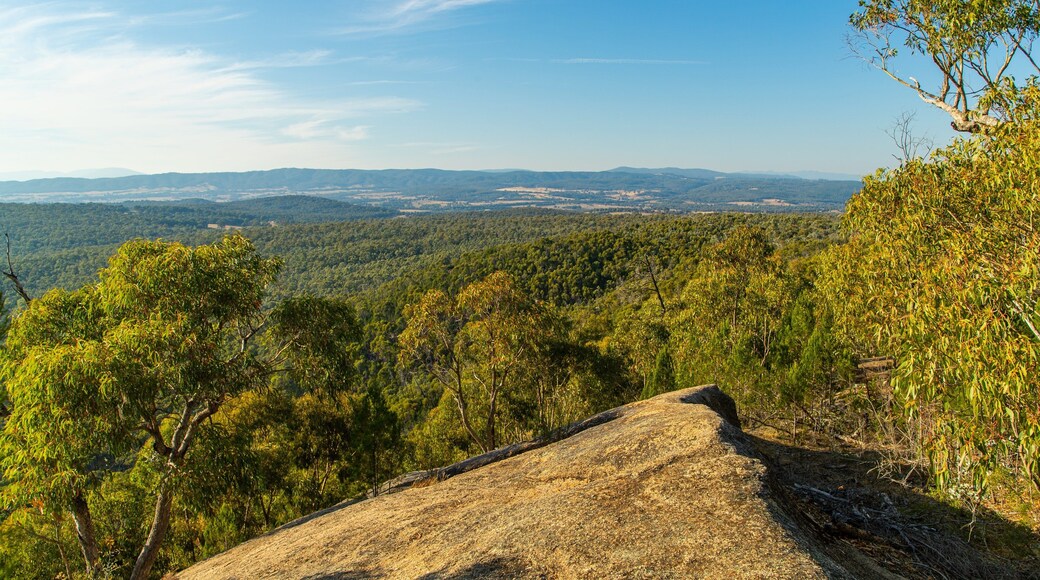 Chiltern-Mt Pilot National Park which includes tranquil scenes and landscape views