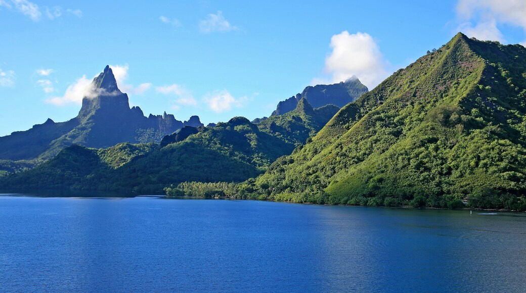Sailing into port on Moorea island in Tahiti.