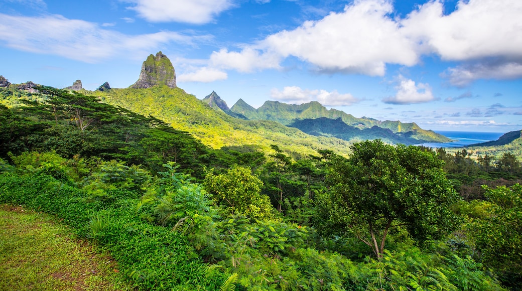 Moorea-Maiao