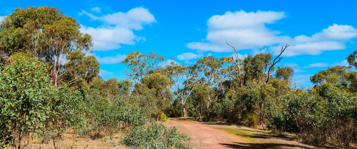 Onkaparinga River National Park trail on a bright day, South Australia