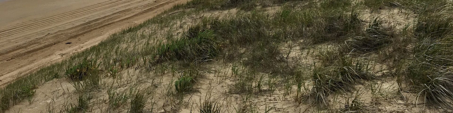 Goolwa Beach taken from the trail across from Goolwa Barrage carpark.
