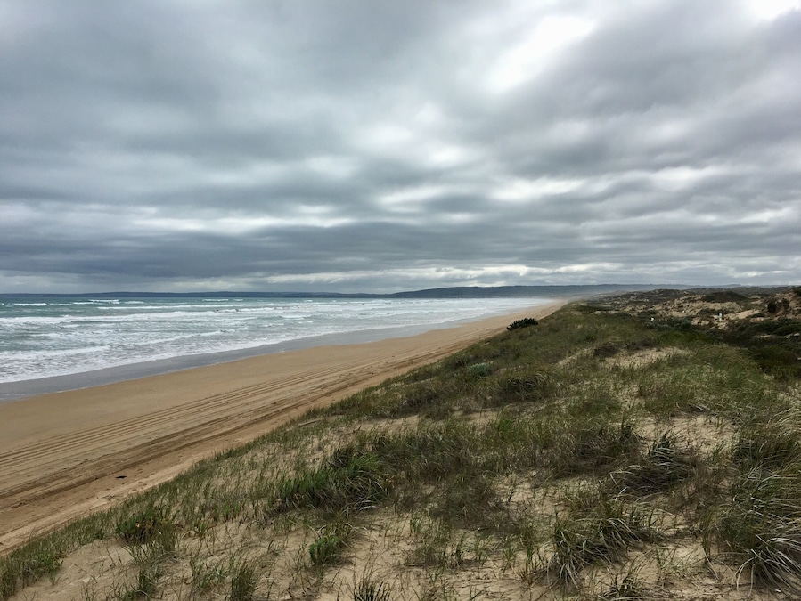 Goolwa Beach taken from the trail across from Goolwa Barrage carpark.
