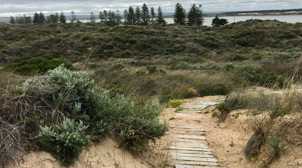 Looking toward Goolwa River from Goolwa Beach sand dunes.