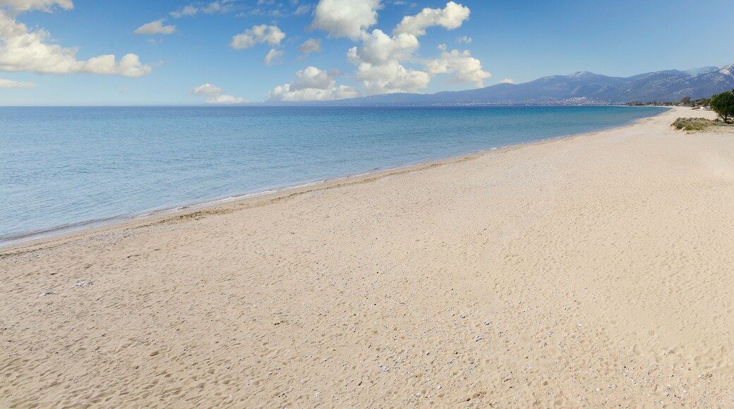 スキニアス ビーチ