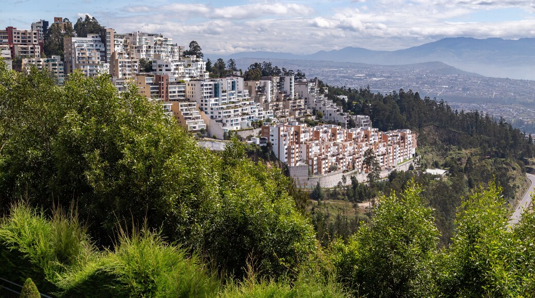 Monteserrin neighborhood