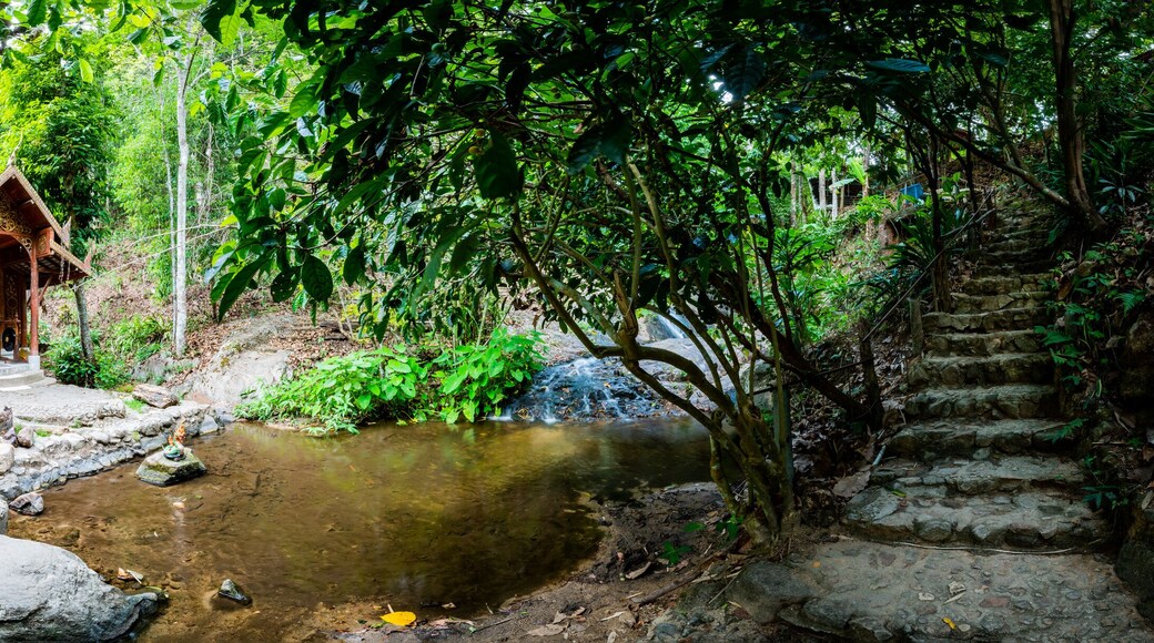Wat Kantrapruksa or Mae Kampong Temple
