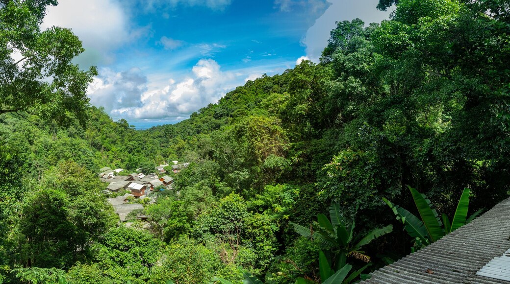 Panorama view From "Chom Nok Chom Mai Coffee" Mae Kampong village, Tambon Huai Kaeo, Amphoe Mae On, Chiang Mai , Thailand.