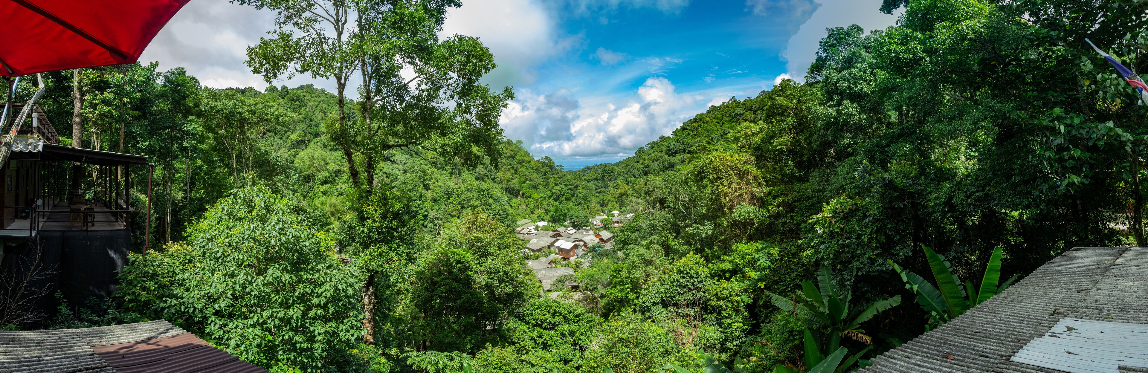 A lush green valley with a small village nestled among dense trees.