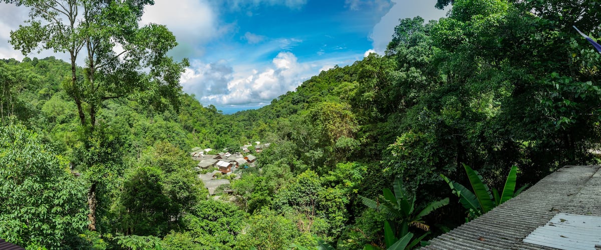 A lush green valley with a small village nestled among dense trees.