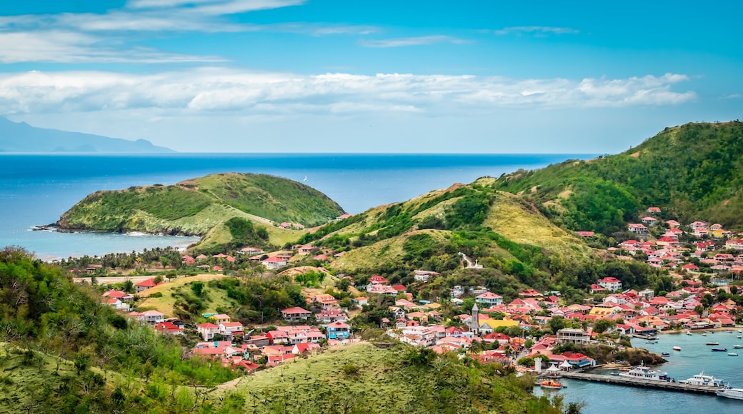 Guadalupa