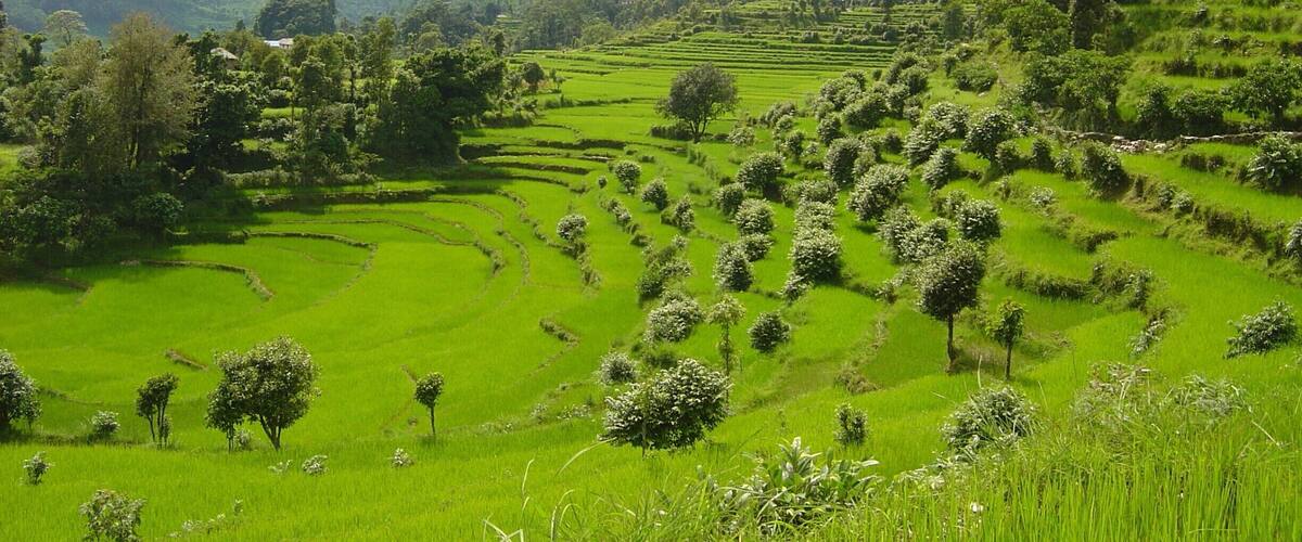 trequing. 1rth to Annapurna