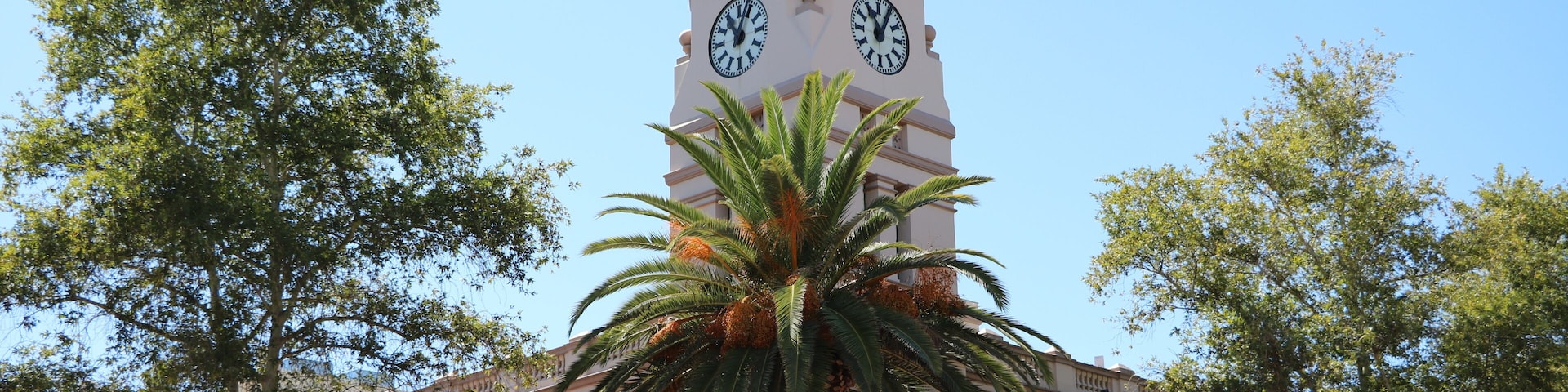 A clock tower with a dome and two clocks, surrounded by trees and a palm.