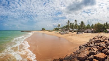 Una playa arenosa con pequeñas embarcaciones, palmeras y un litoral rocoso.