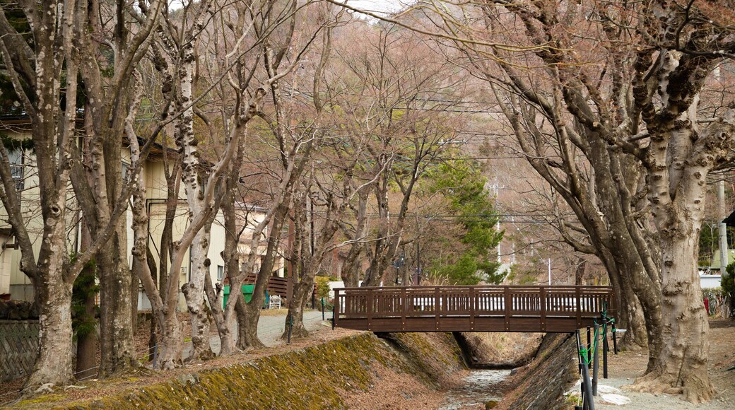 Maple Corridor showing a bridge