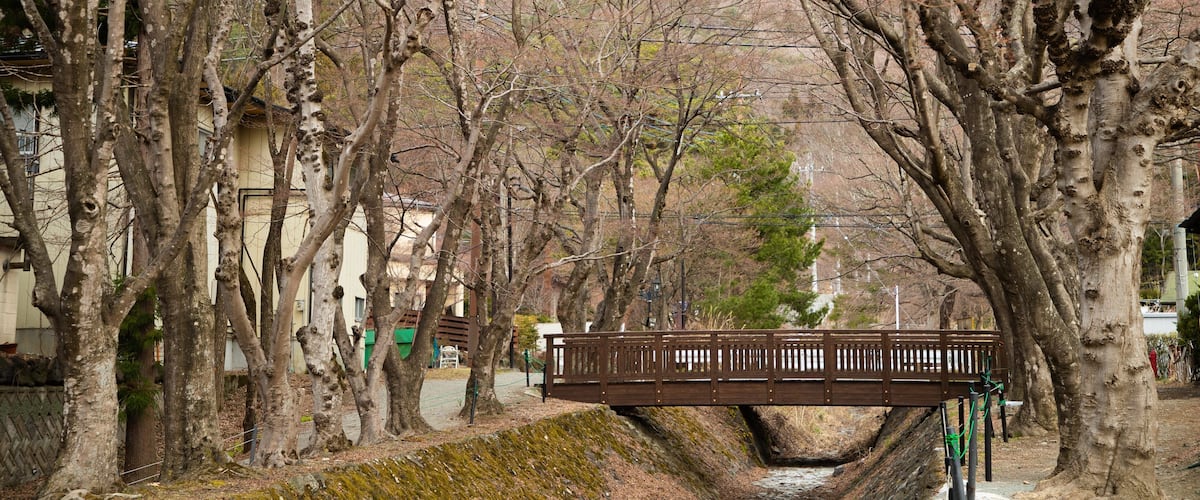 Maple Corridor showing a bridge