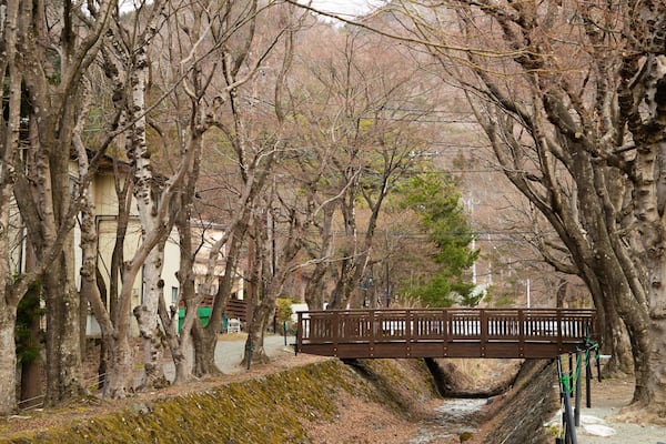 Maple Corridor showing a bridge