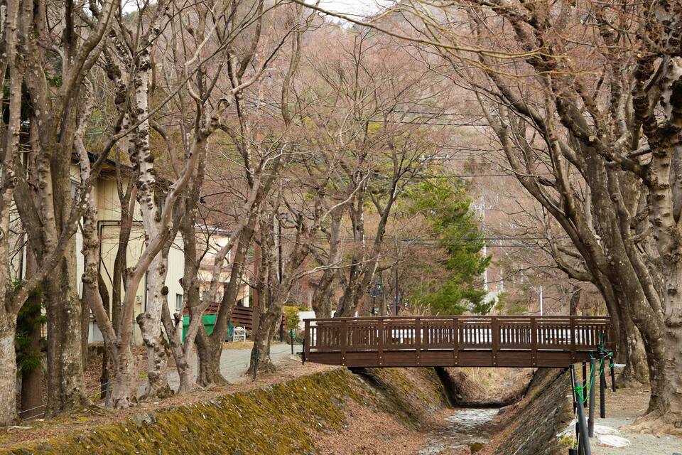 A wooden bridge over a narrow stream in a park with leafless trees.