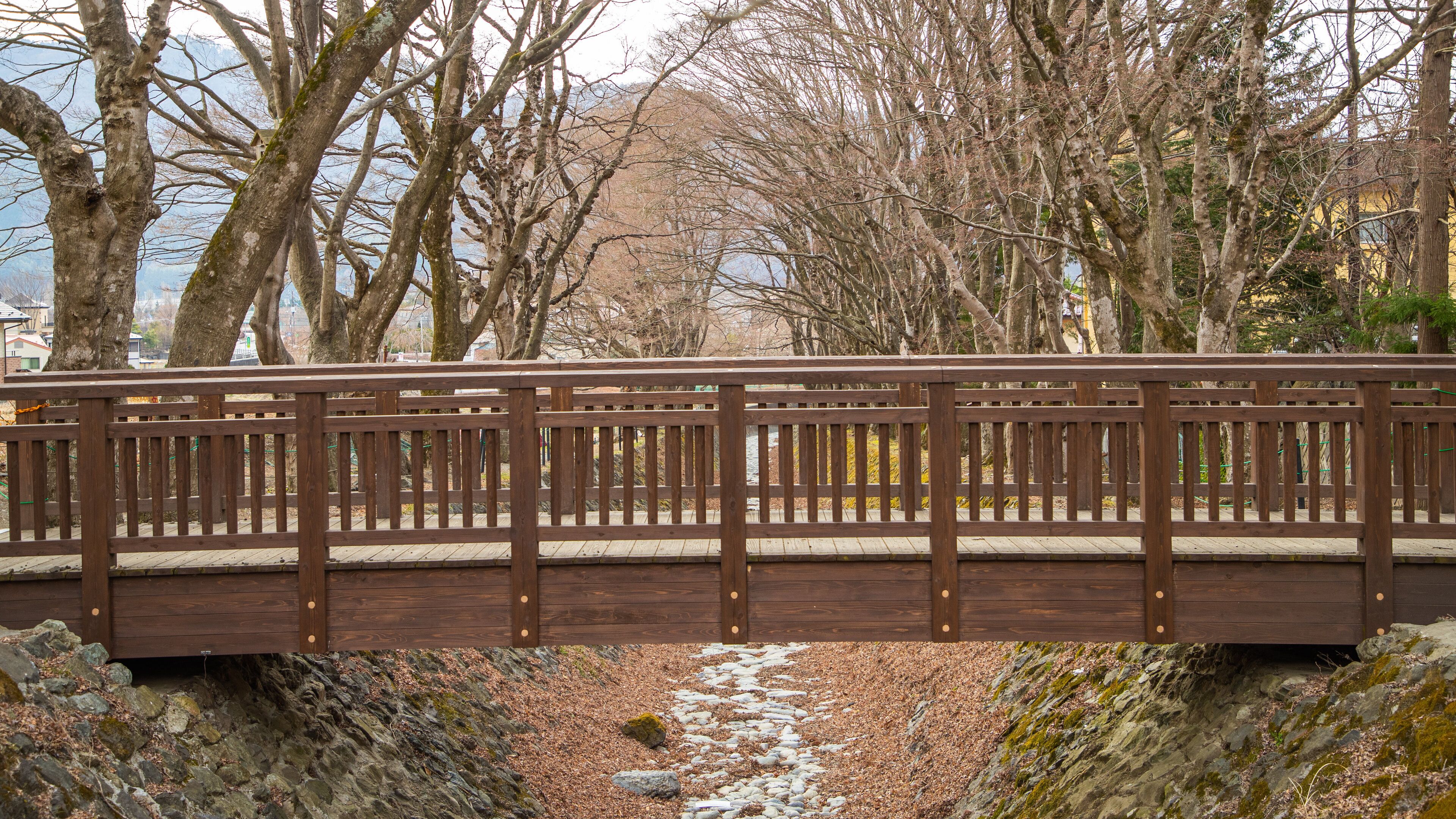 Maple Corridor featuring a bridge