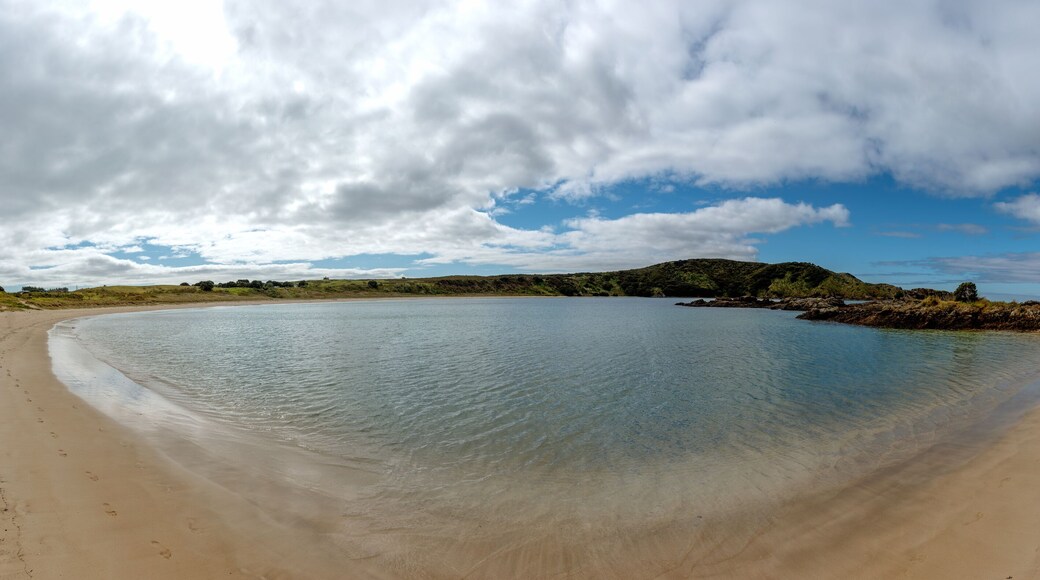 View of Matai beach in Karikari peninsula in New Zealand