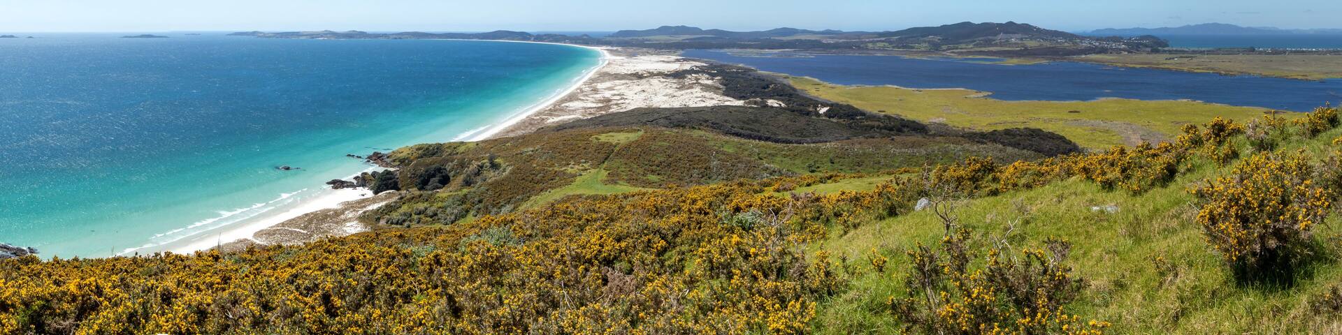 Puheke Lookout: Iconic Meeting of Native flora and Azure Seascape in the Karikari Peninsula, Northland, New Zealand
